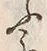 文字ふ