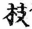 枝，已得其位