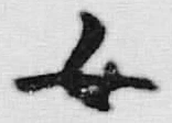 文字 女