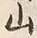 字山