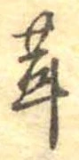位置定マレル茸