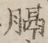 膈 위치 확인됨