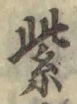 文字紫