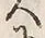𡨸悦