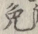 已定位兎