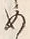 文字め