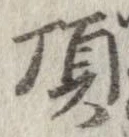 已定位頂