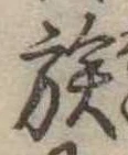 已定位族