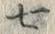 Chữ 七