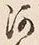 「河」字