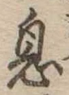 已定位息