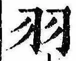 已定位羽
