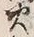 𡨸火