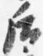 Located 后