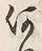 文字何