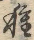 已定位種