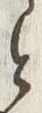 𡨸氏