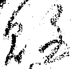 位置 確認된 敗