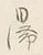 文字 逗