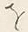 𡨸是