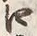 “口”字