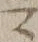 Character 令