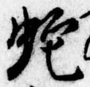 位置 確認된 蛇