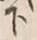 글자 下