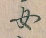 位置 確認된 女