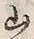 𡨸山