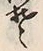“そ”字