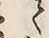 “側”字