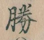 已定位勝