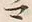 “マ”字