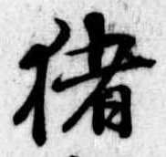 已定位猪