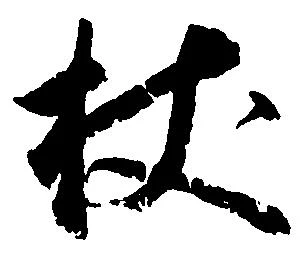 杖 위치 확인됨