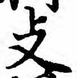 位置 確認된 支