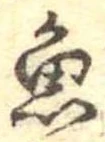 已定位魚