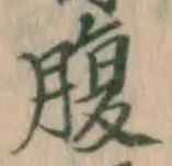字腹