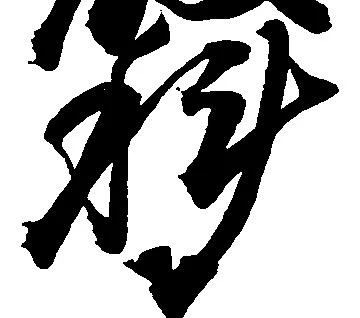 科の位置