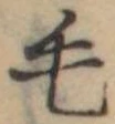 位置定マレル毛