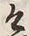 𡨸言