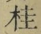 文字桂