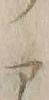 字ア
