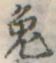 已定位兎