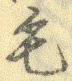 位置定マレル毛