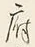 Chữ 一