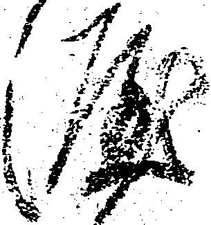 涯，已得其位
