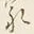 字家