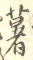 已定位薯